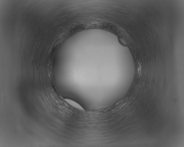 X0000053000819200507080953