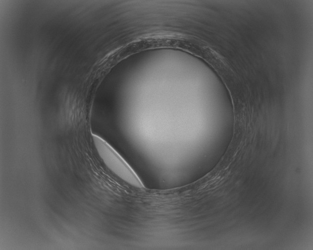X0000053000821200507080953