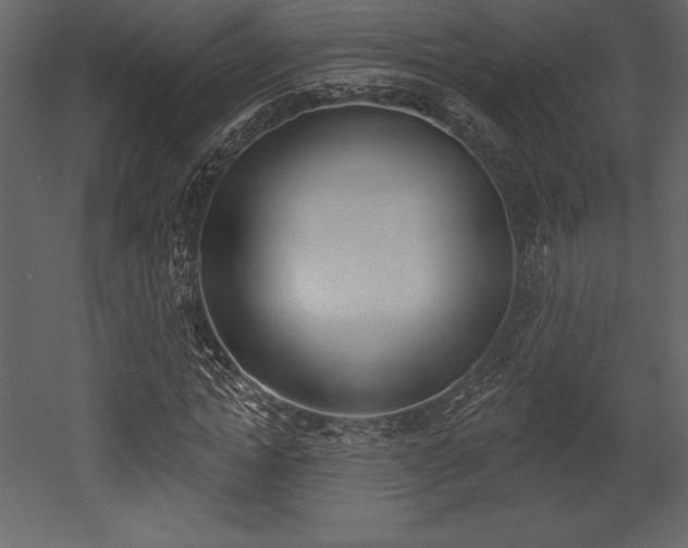 X0000053000822200507080953