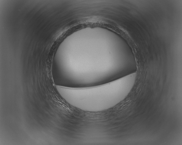 X0000053000823200507080953