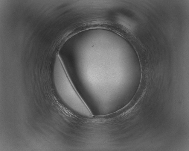 X0000053000825200507080953