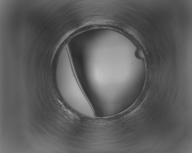 X0000053000829200507080953