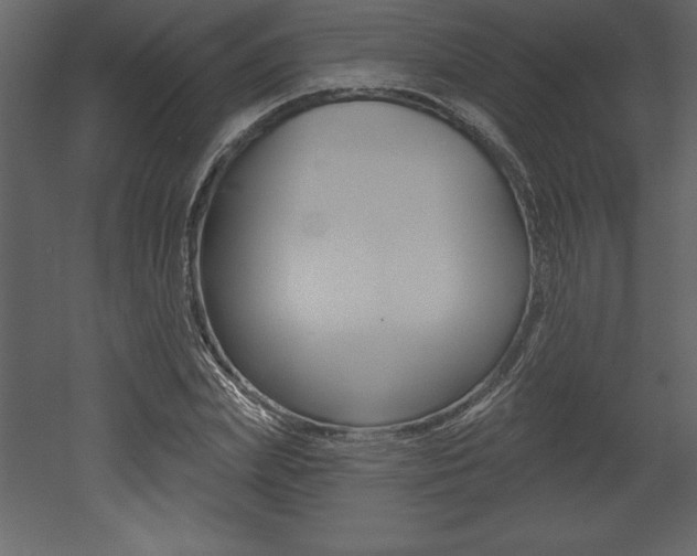 X0000053000831200507080953