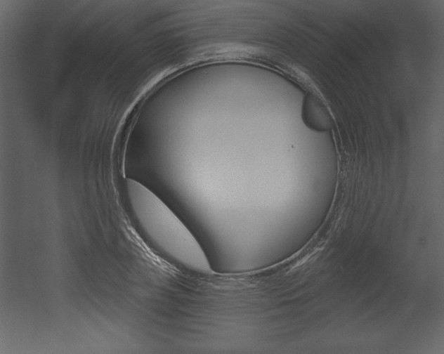 X0000053000835200507080953