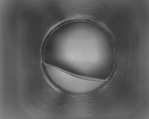 X0000053000838200507080953