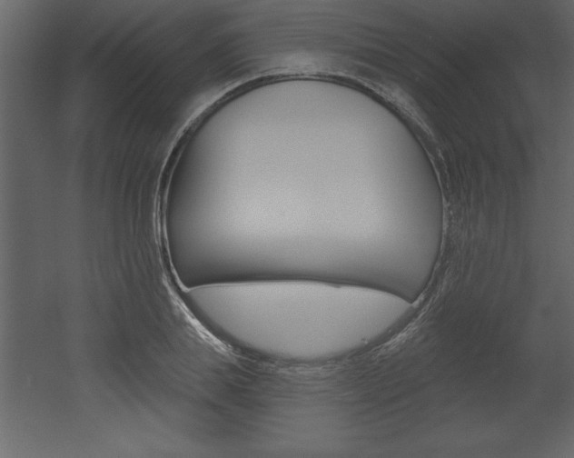 X0000053000839200507080953