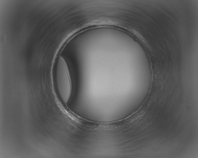 X0000053000840200507080953