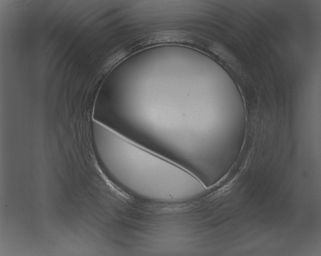 X0000053000841200507080953