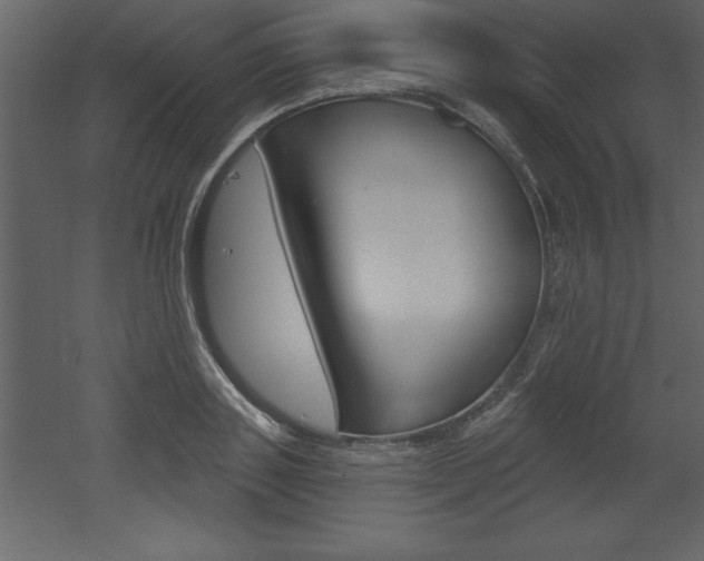 X0000053000843200507080953