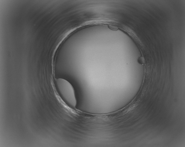 X0000053000844200507080953