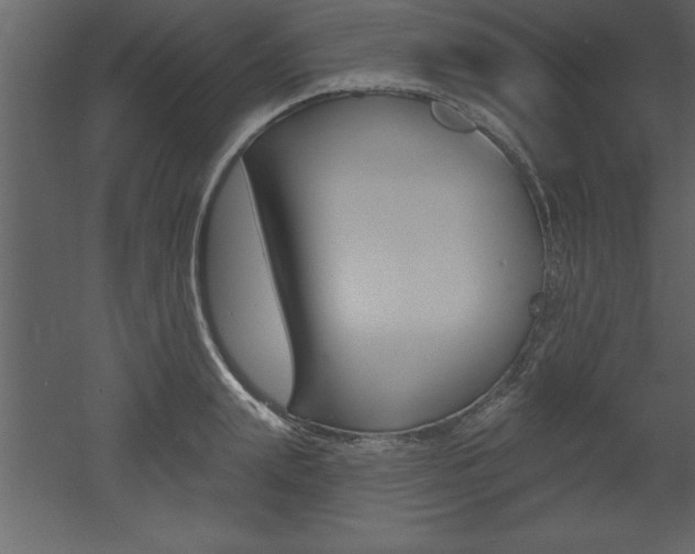 X0000053000847200507080953