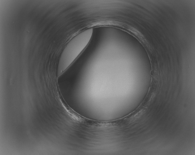 X0000053000849200507080953