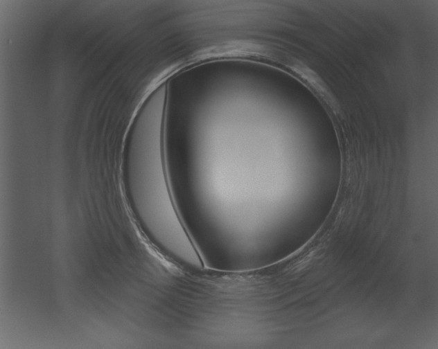 X0000053000850200507080953