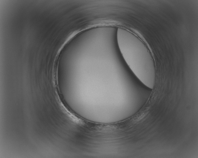 X0000053000851200507080953