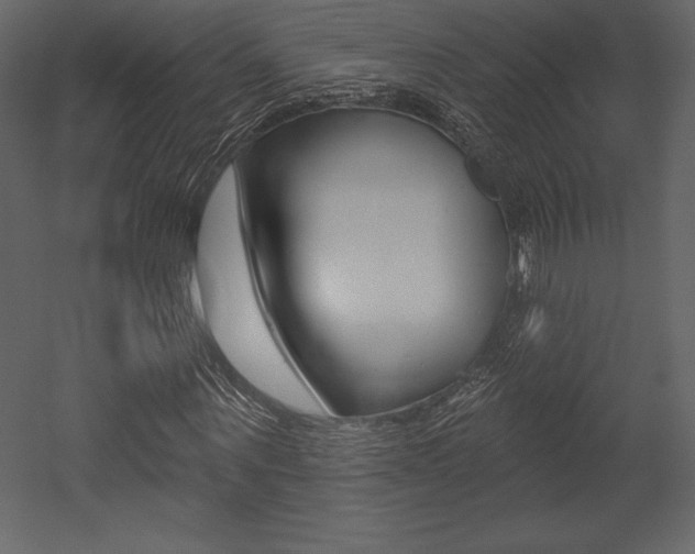 X0000053000867200507080952