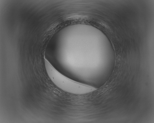 X0000053000869200507080952