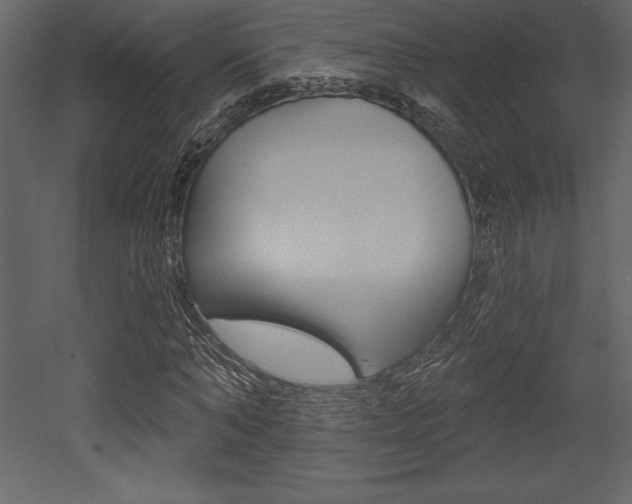 X0000053000870200507080952