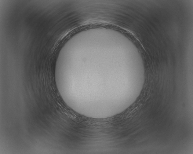 X0000053000871200507080952