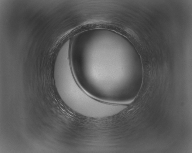 X0000053000872200507080952