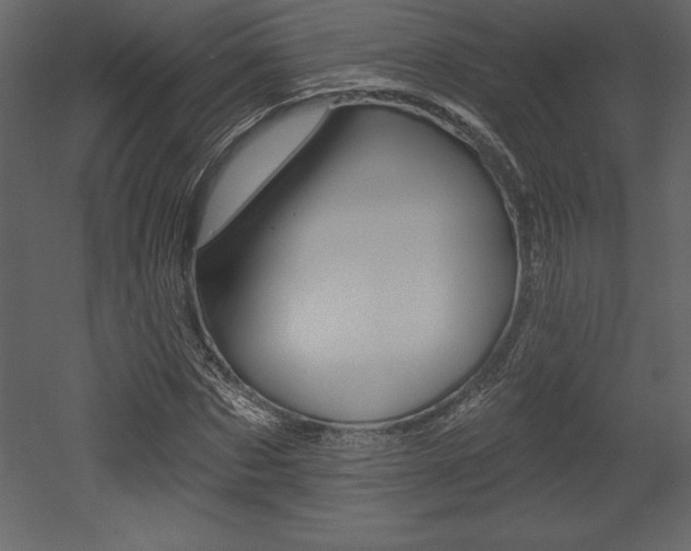 X0000053000873200507080952