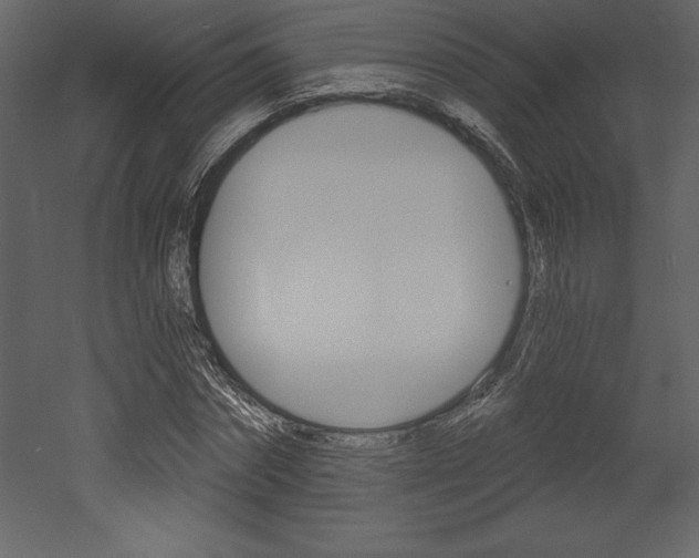 X0000053000874200507080952