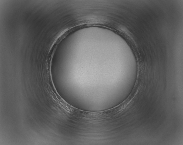 X0000053000875200507080952