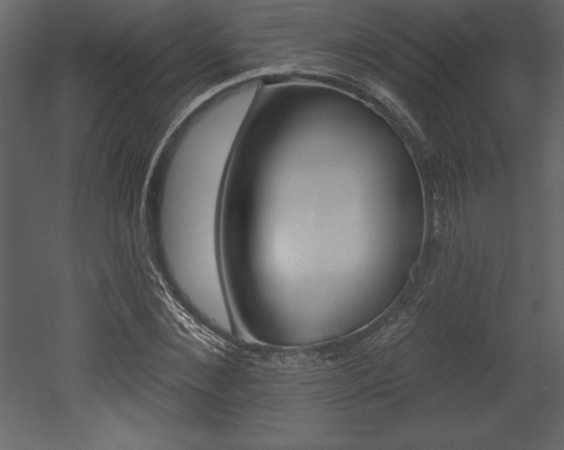 X0000053000876200507080952