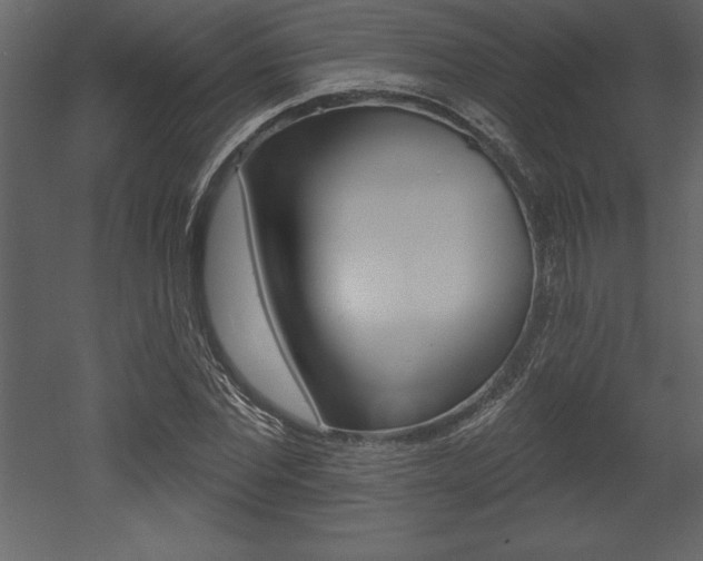 X0000053000877200507080952