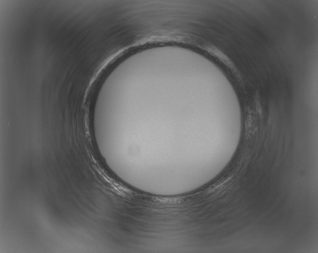 X0000053000878200507080952