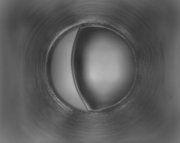 X0000053000880200507080952