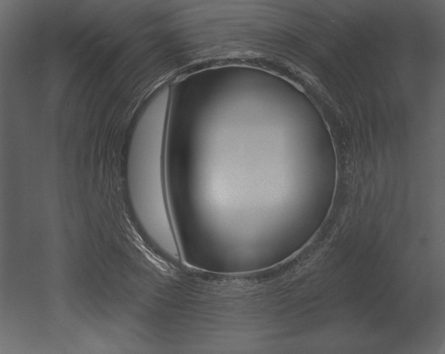 X0000053000881200507080952