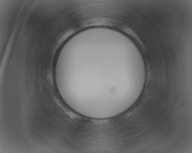 X0000053000882200507080952