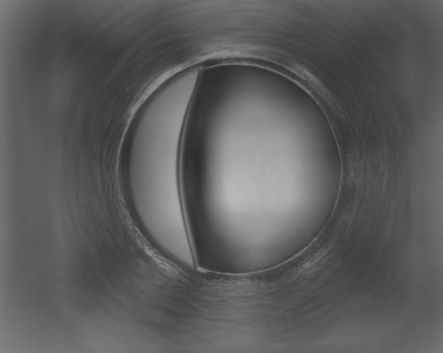 X0000053000885200507080952