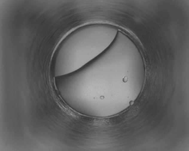 X0000053000887200507080952