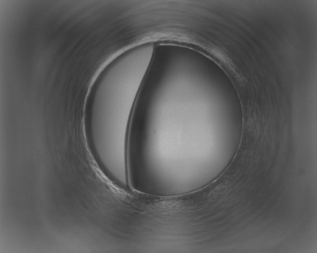 X0000053000888200507080952