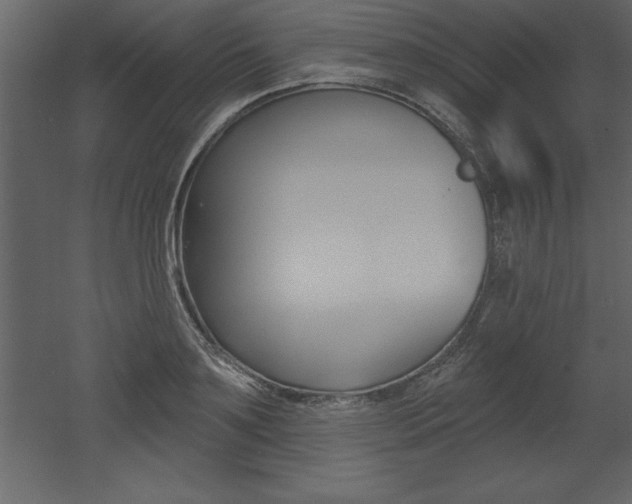 X0000053000891200507080952