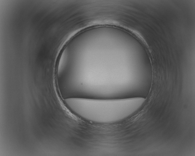 X0000053000895200507080952