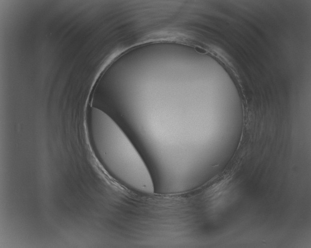 X0000053000899200507080952