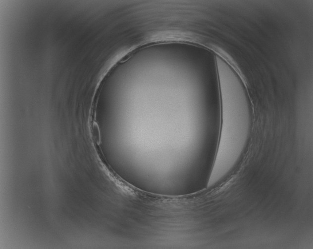 X0000053000901200507080952