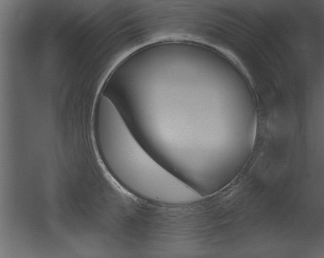 X0000053000903200507080952