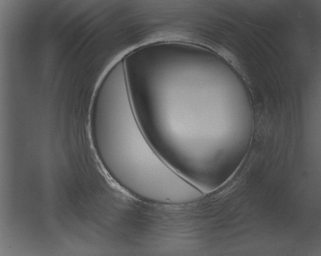 X0000053000904200507080952