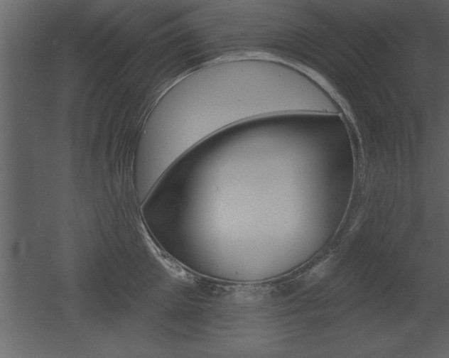 X0000053000905200507080952