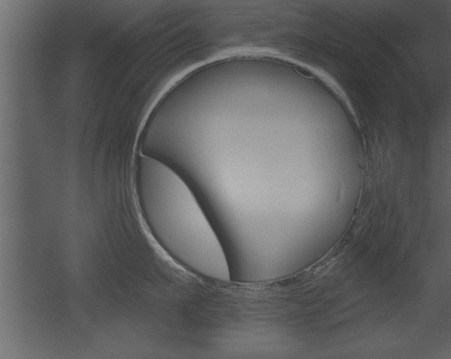 X0000053000911200507080952