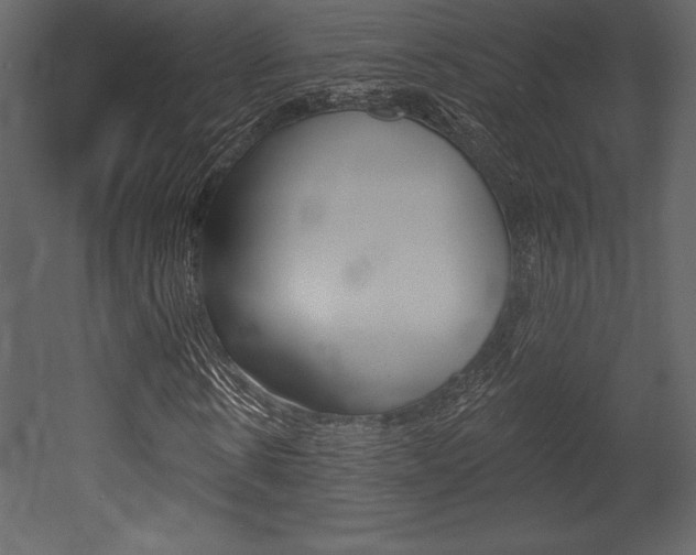 X0000053000914200507080951