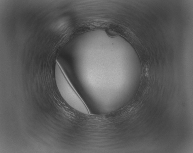 X0000053000915200507080951