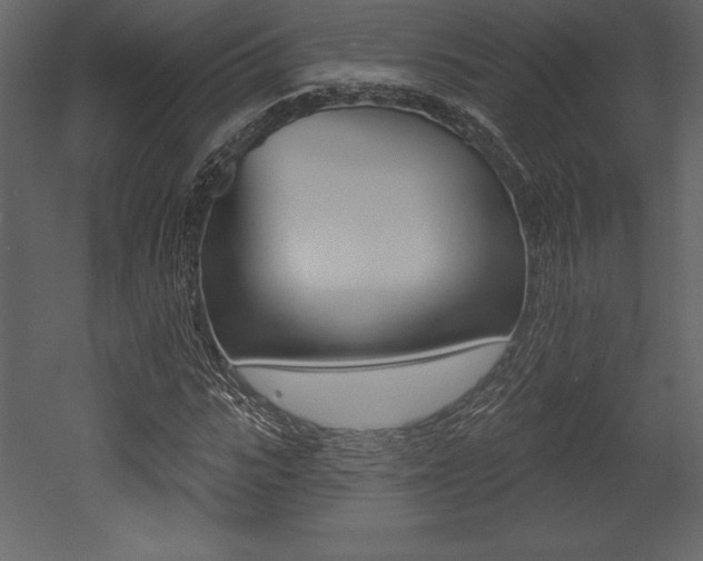 X0000053000919200507080951