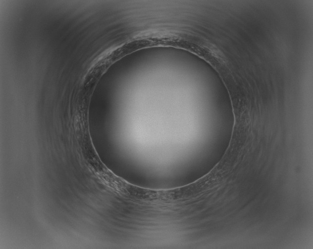 X0000053000920200507080951