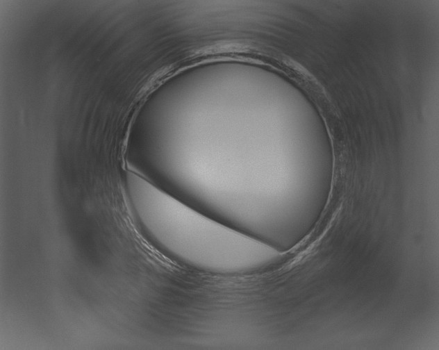 X0000053000929200507080951