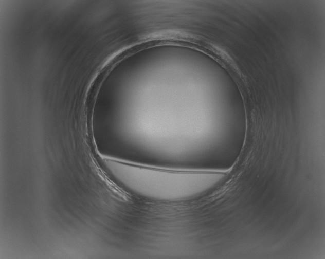 X0000053000931200507080951