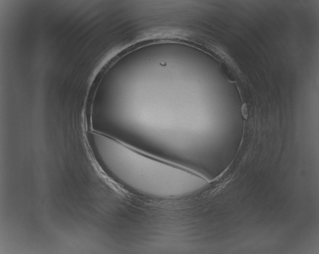 X0000053000936200507080951